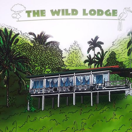 Wild Lodge Taman Negara Kuala Tahan Exterior foto